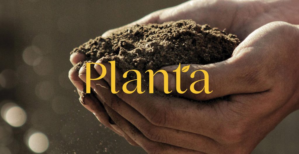 Planta